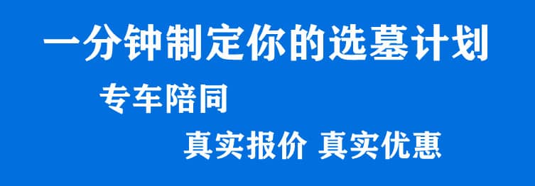 购墓指导、方案策划