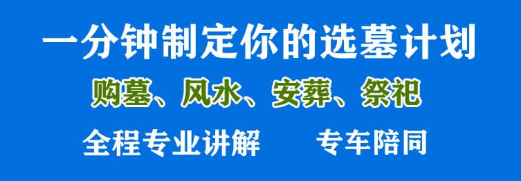 购墓指导、方案策划