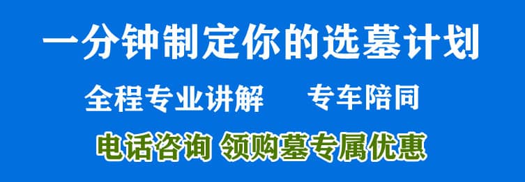 购墓指导、方案策划