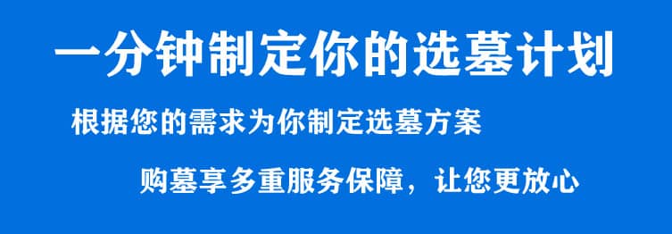 购墓指导、方案策划