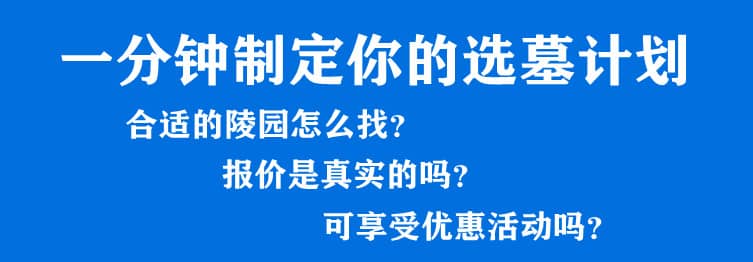 购墓指导、方案策划