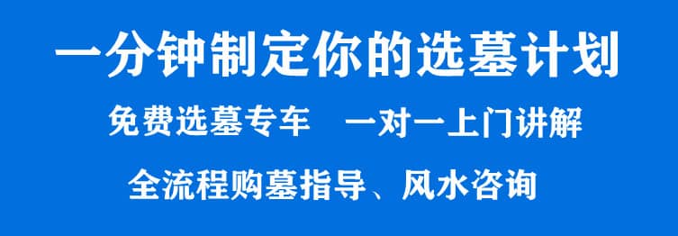 购墓指导、方案策划