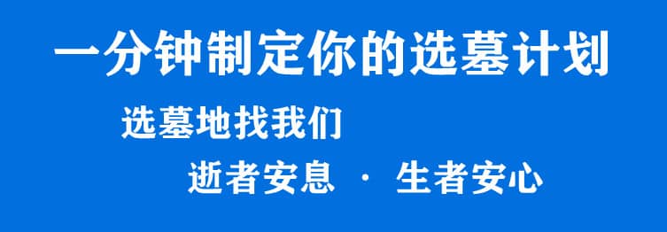 购墓指导、方案策划