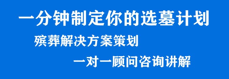 购墓指导、方案策划