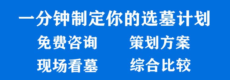 购墓指导、方案策划