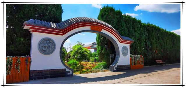 西安汉皇树葬墓园提供了哪些多样化的葬式选择？每种葬式有何特点？