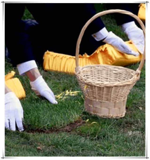 西安汉皇树葬墓园的价格是否会受到季节性因素的影响，如果有，通常是如何调整的？