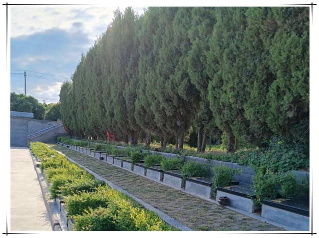 西安汉皇树葬墓园提供的壁葬服务有哪些优势？