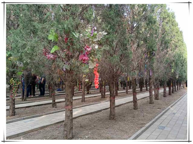 西安阎良汉皇树葬墓园电话地址