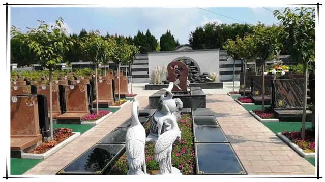 阎良的汉皇树葬骨灰公墓提供节地生态葬服务吗？