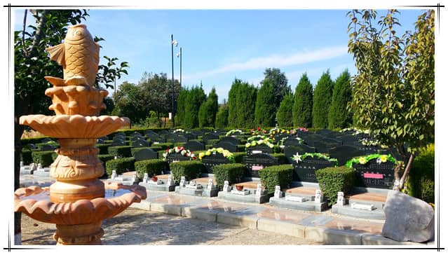 如果我想在西安市购买树葬墓位，应该如何选择？