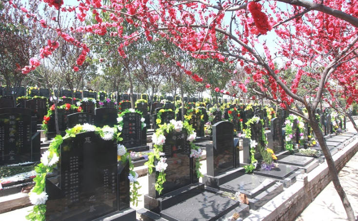 西安凤栖山北区墓园代祭祀服务，您的牵挂我来传递！