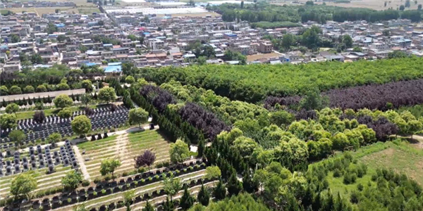 西安寿阳山墓园的墓地价格区间如何，是否适合不同预算的家属？