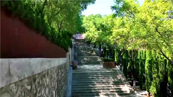 西安霸陵墓园新区（花艺装饰）