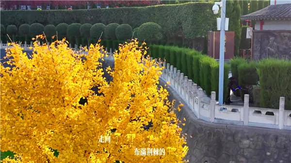 西安霸陵墓园新区与老区对比：选择适合的安息之所