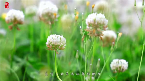 西安霸陵墓园几点下班