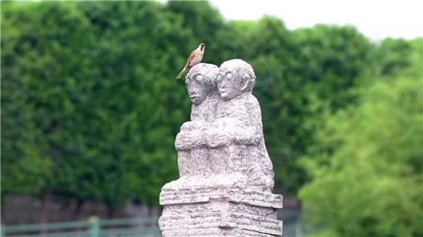 西安霸陵墓园新区报价查询