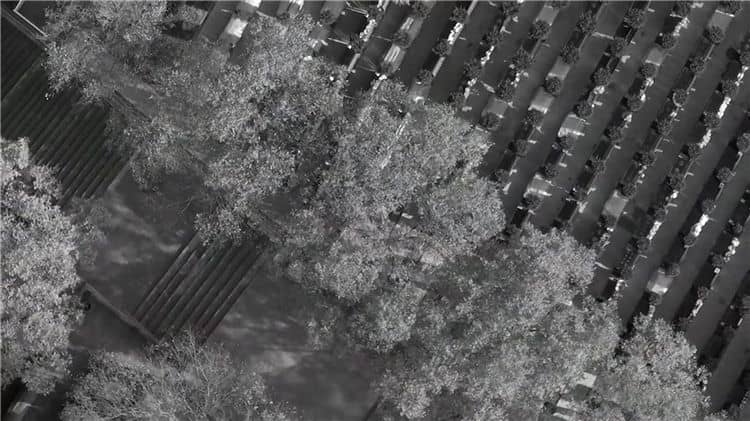 西安霸陵墓园使用年限及管理规定详解