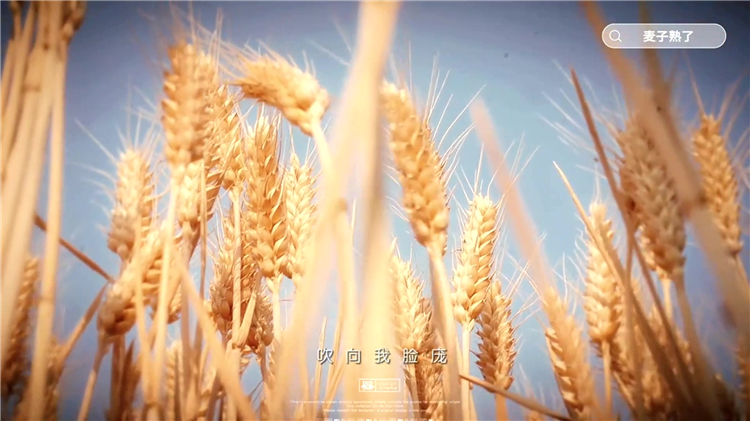 骨灰存放价格解析_如何选择合适的存放方式