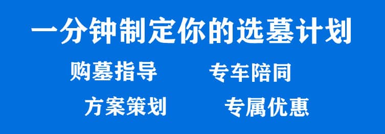 购墓指导、方案策划