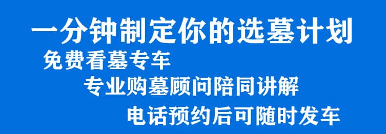 购墓指导、方案策划