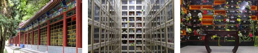 西安市南郊寝园管护中心：老干部专属的骨灰存放服务典范