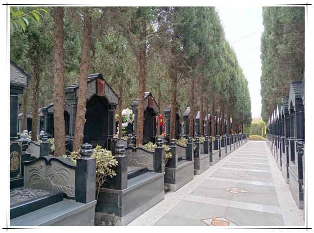 西安汉皇树葬墓园生态葬式全解析, 绿色殡葬发展推广