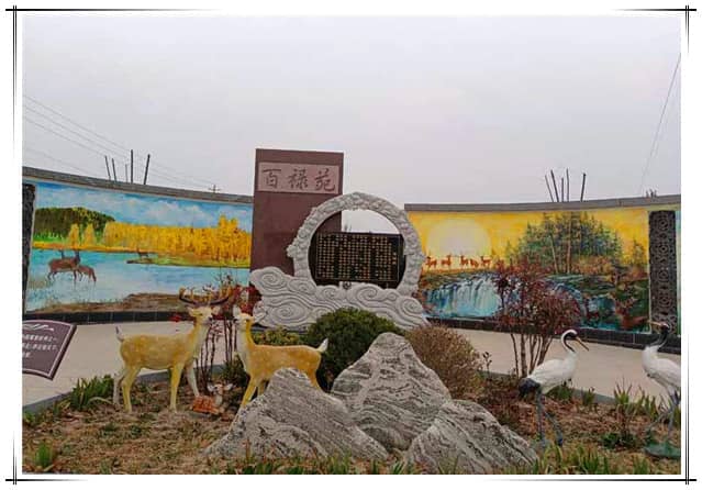 西安哪家树葬墓地的价格相对较为便宜？