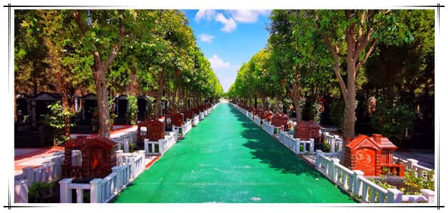 阎良汉皇树葬墓园：千年皇陵畔的生命传承与生态新篇