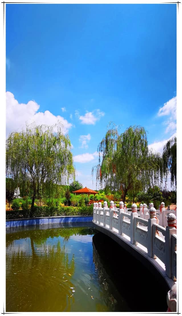 西安有哪些墓园提供树葬服务？