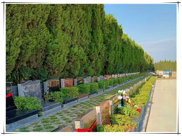 西安汉皇树葬墓园是如何将现代殡葬理念与自然生态之美融合的？