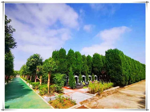 西安阎良汉皇树葬墓园的特色与服务详解