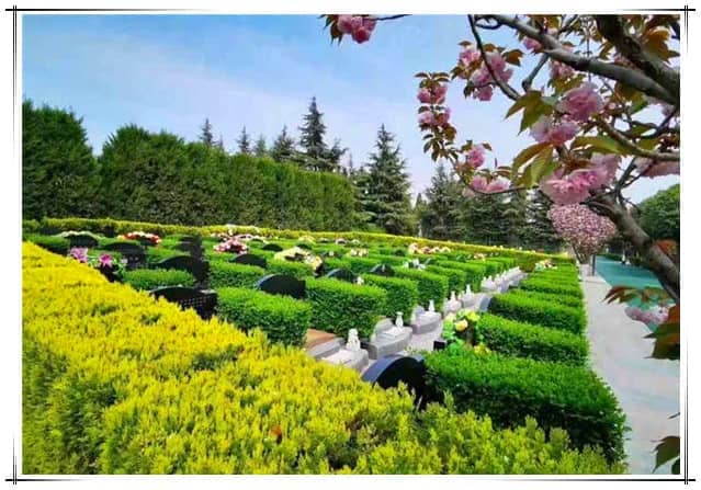 阎良汉皇树葬骨灰公墓如何将现代墓园管理理念融入到实际运营中？