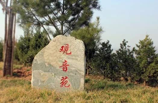 前往西安寿阳山公墓，乘客应该如何选择合适的公交线路，以确保出行的便捷和高效？