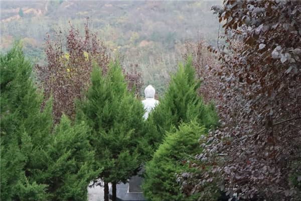 寿阳山墓园离五号线站多远