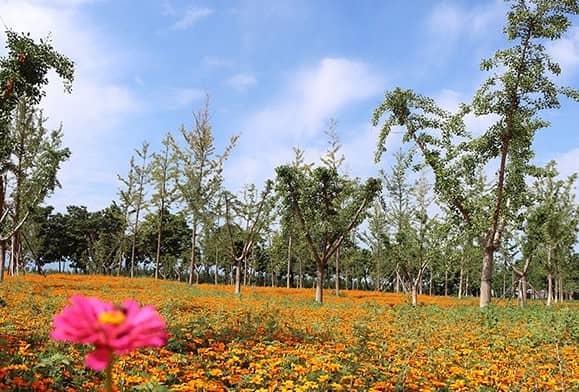 如何方便地前往西安寿阳山墓园？