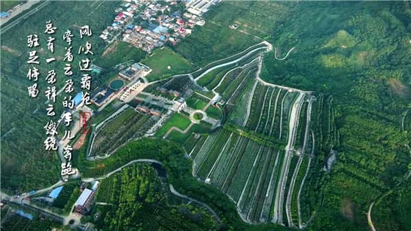 西安霸陵墓园新区大力推广草坪葬、树葬、格位葬、花坛葬等生态葬法