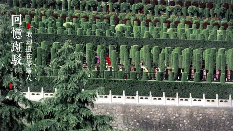 西安霸陵和凤栖山墓园北区优缺点对比分析