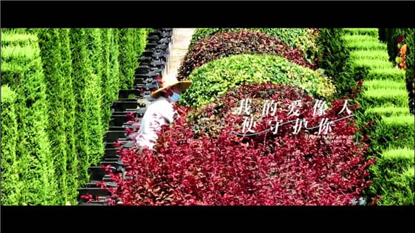 在霸陵墓园可以买到什么类型的墓地