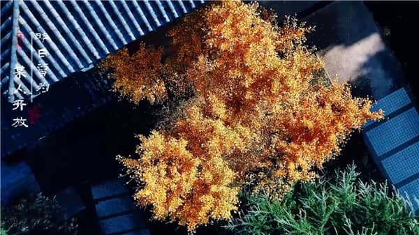 西安霸陵墓园新区（殡葬用品）