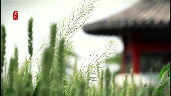 西安霸陵墓园如何，大限度减少您的经济负担