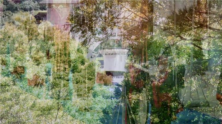 西安霸陵墓园运营主体解析：企业背景与服务特色