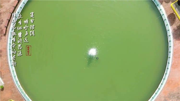 西安霸陵墓园新区分多少区