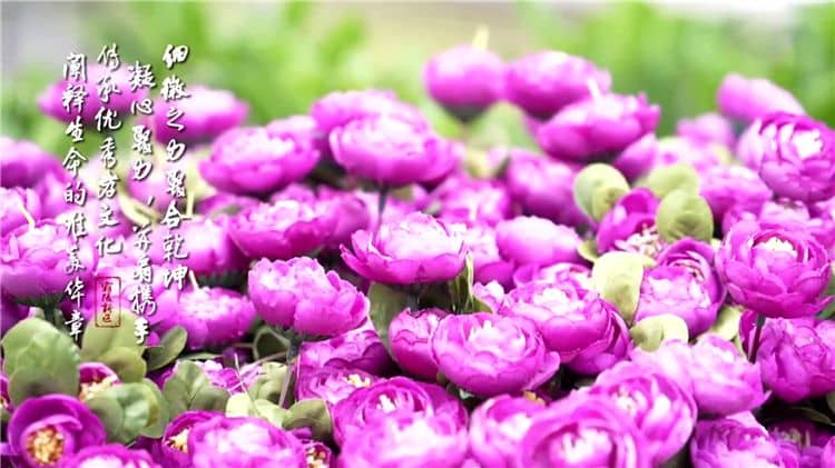 西安霸陵墓园概览及图片欣赏：了解环境，感受文化，寄托哀思