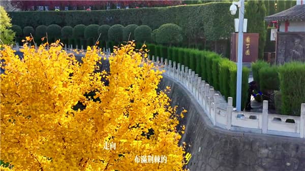 西安霸陵公墓靠谱吗