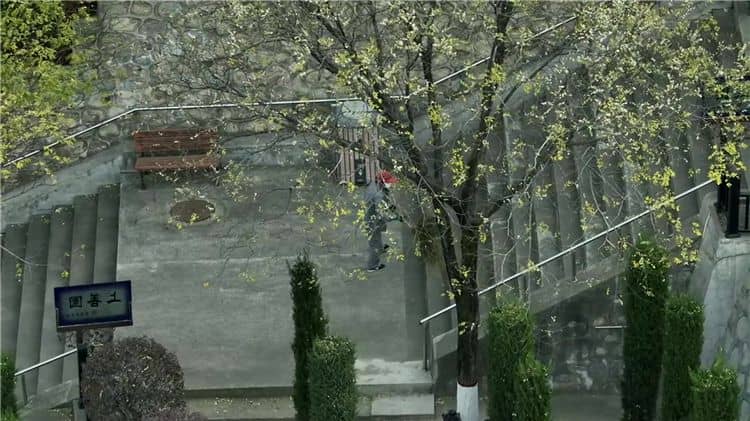 西安霸陵新区墓园，真情陪伴