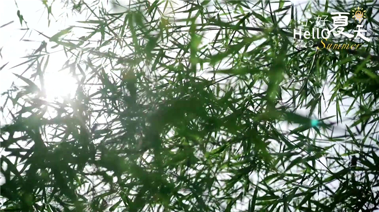 西安汉皇树葬墓园生态葬全攻略 | 绿色殡葬的多元选择与价格解析
