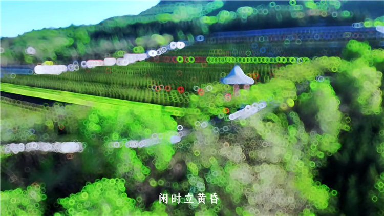 骨灰盒放入墓地是否称为“下葬”？传统与现代的定义解析