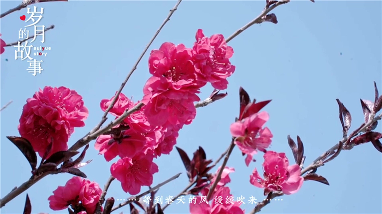 公墓环境对逝者与家属的影响分析:如何选择理想安息之地?