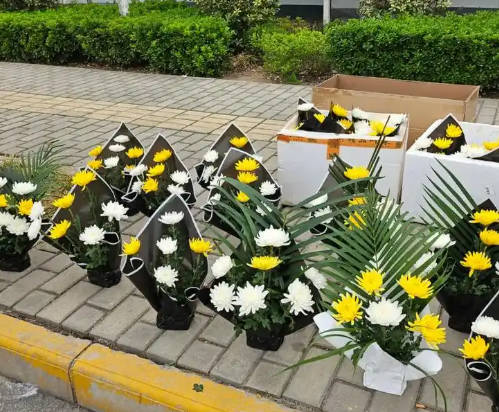 公墓二排六号好不好?